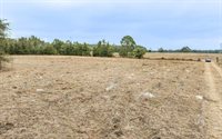 1250 SW Jafus Ave, Lake City, FL 32024