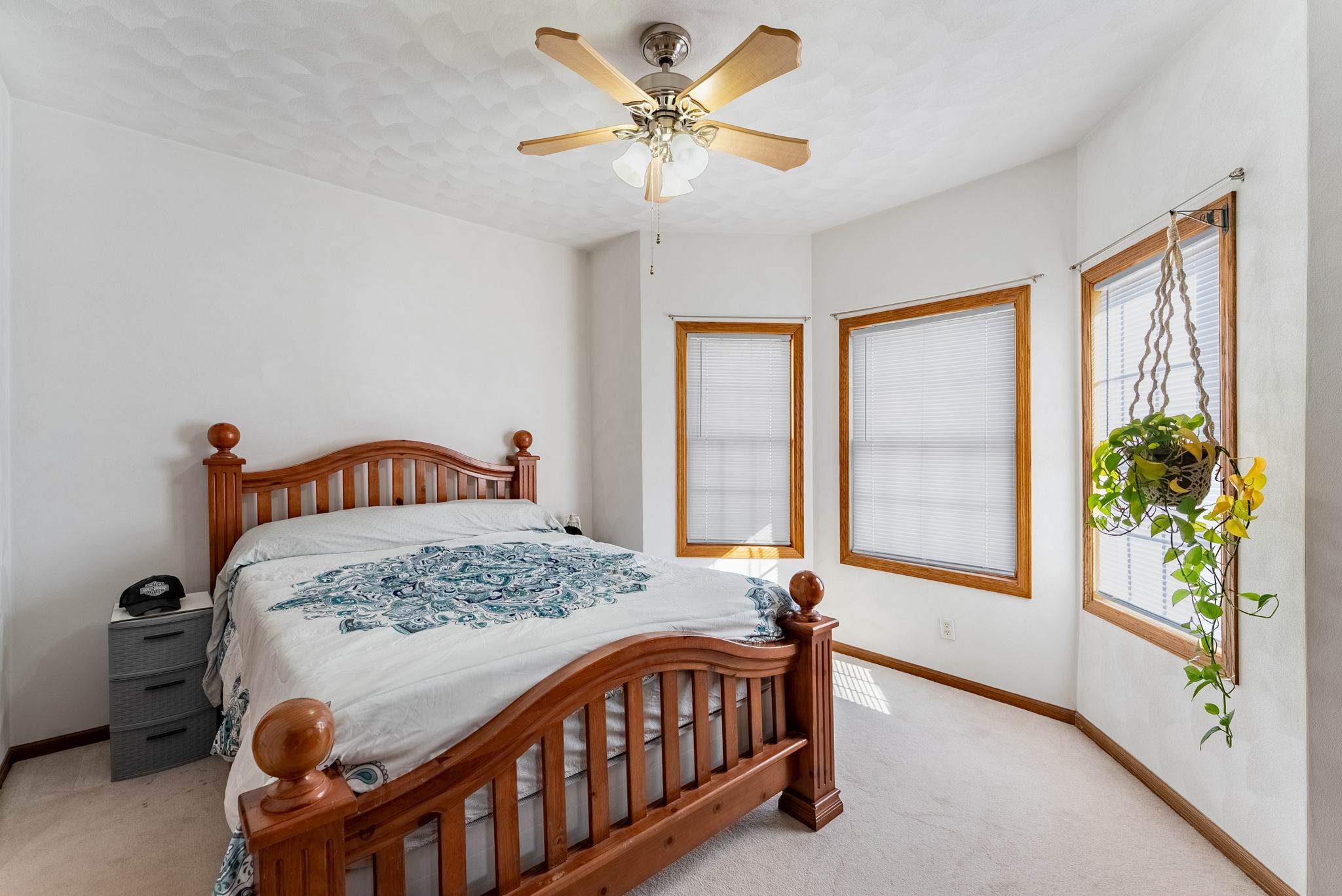 401 N Ridge St, Cambridge, IL 61238