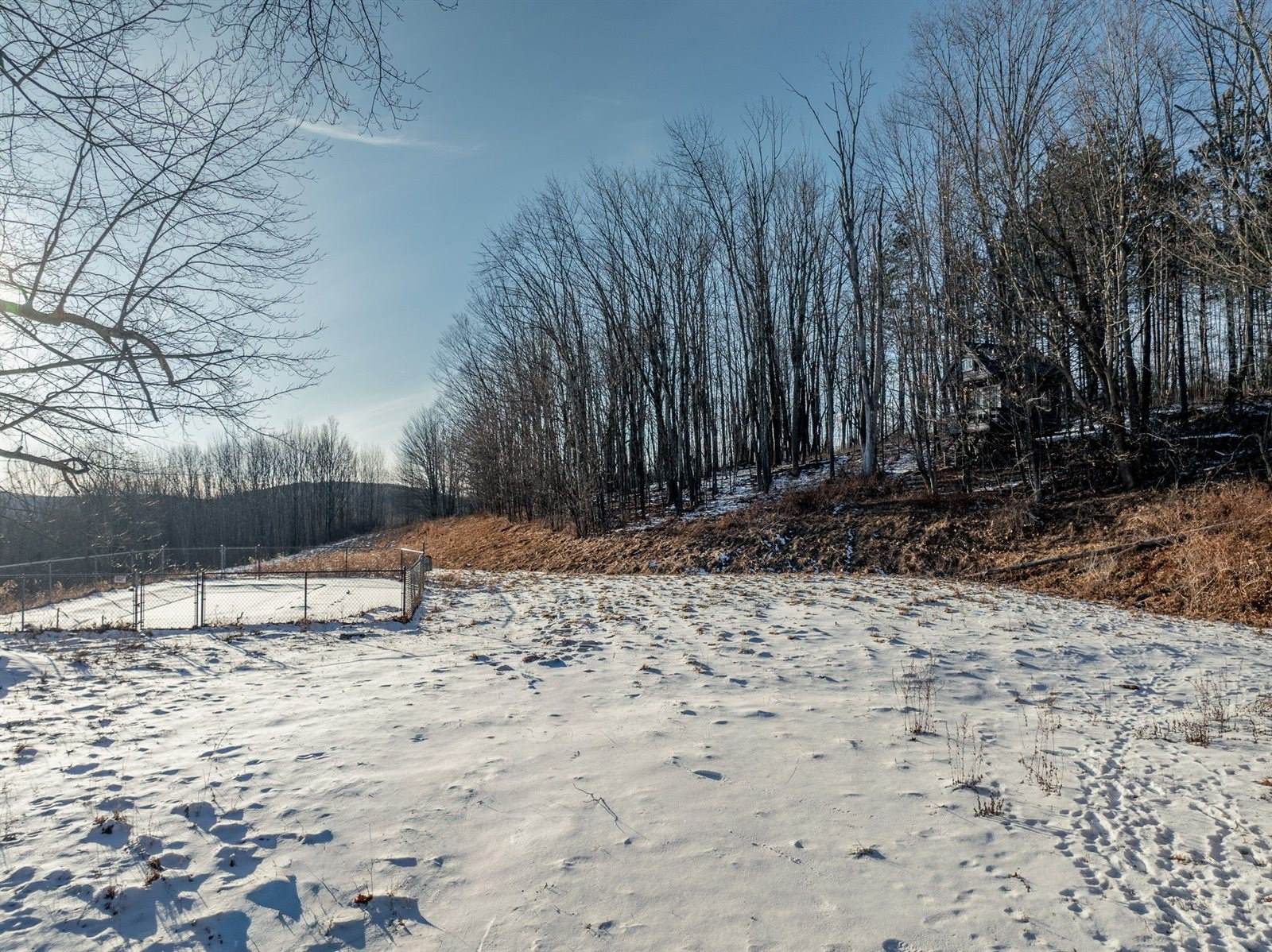 203 Patton Road, Brackney, PA 18812