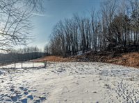 203 Patton Road, Brackney, PA 18812