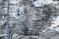 321 Wiese Lane, Newburg, MO 65550