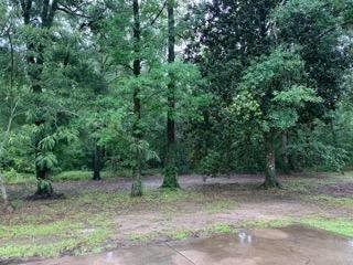 23144 East Hwy 40, Loranger, LA 70446