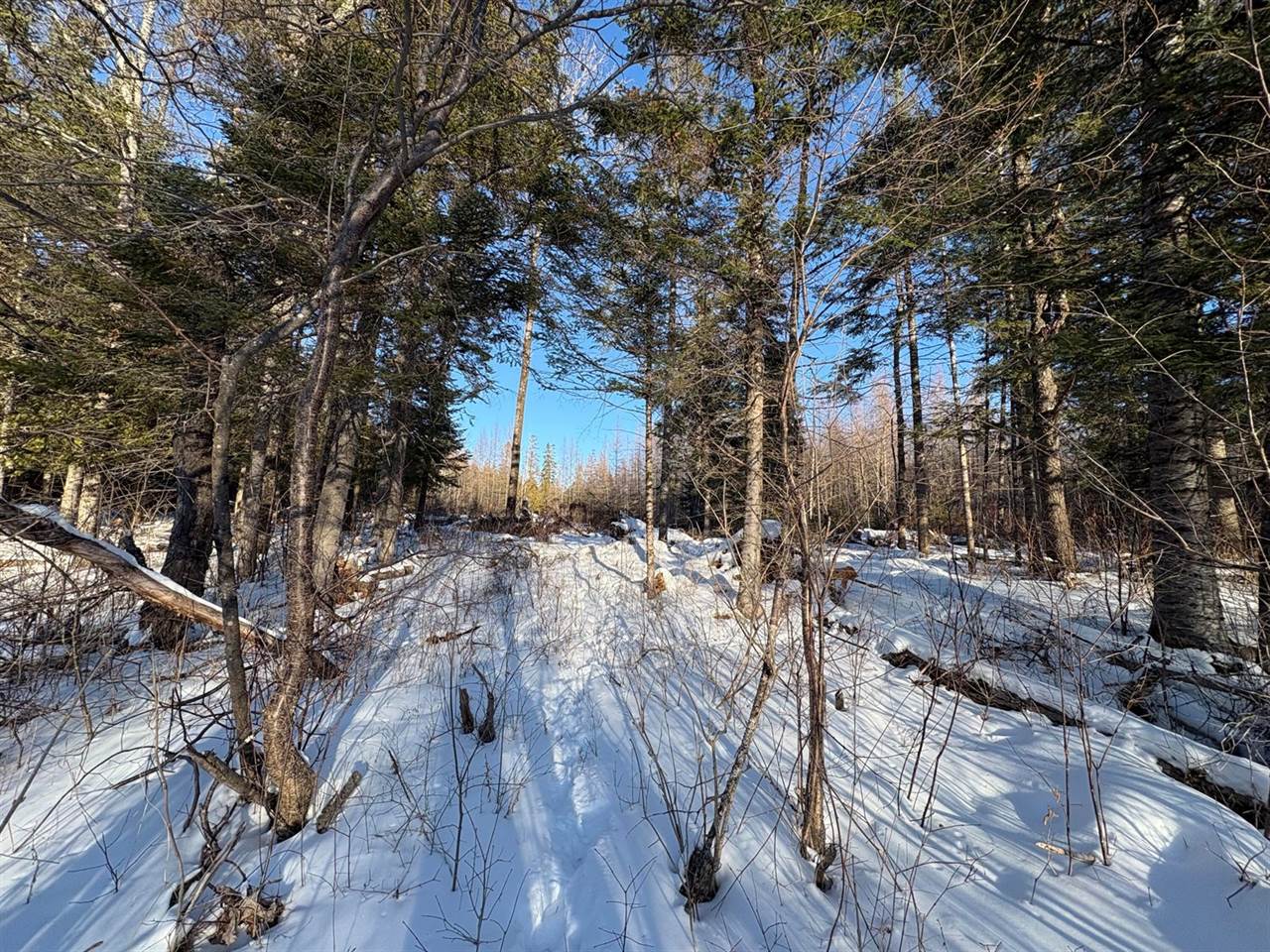 M10L4-1 Yard Road, Oakfield, ME 04763