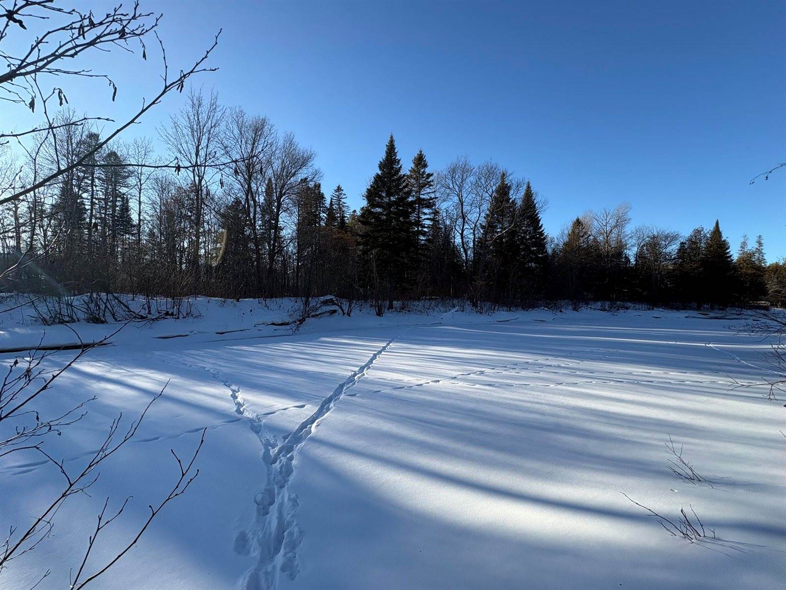 M10L4-1 Yard Road, Oakfield, ME 04763