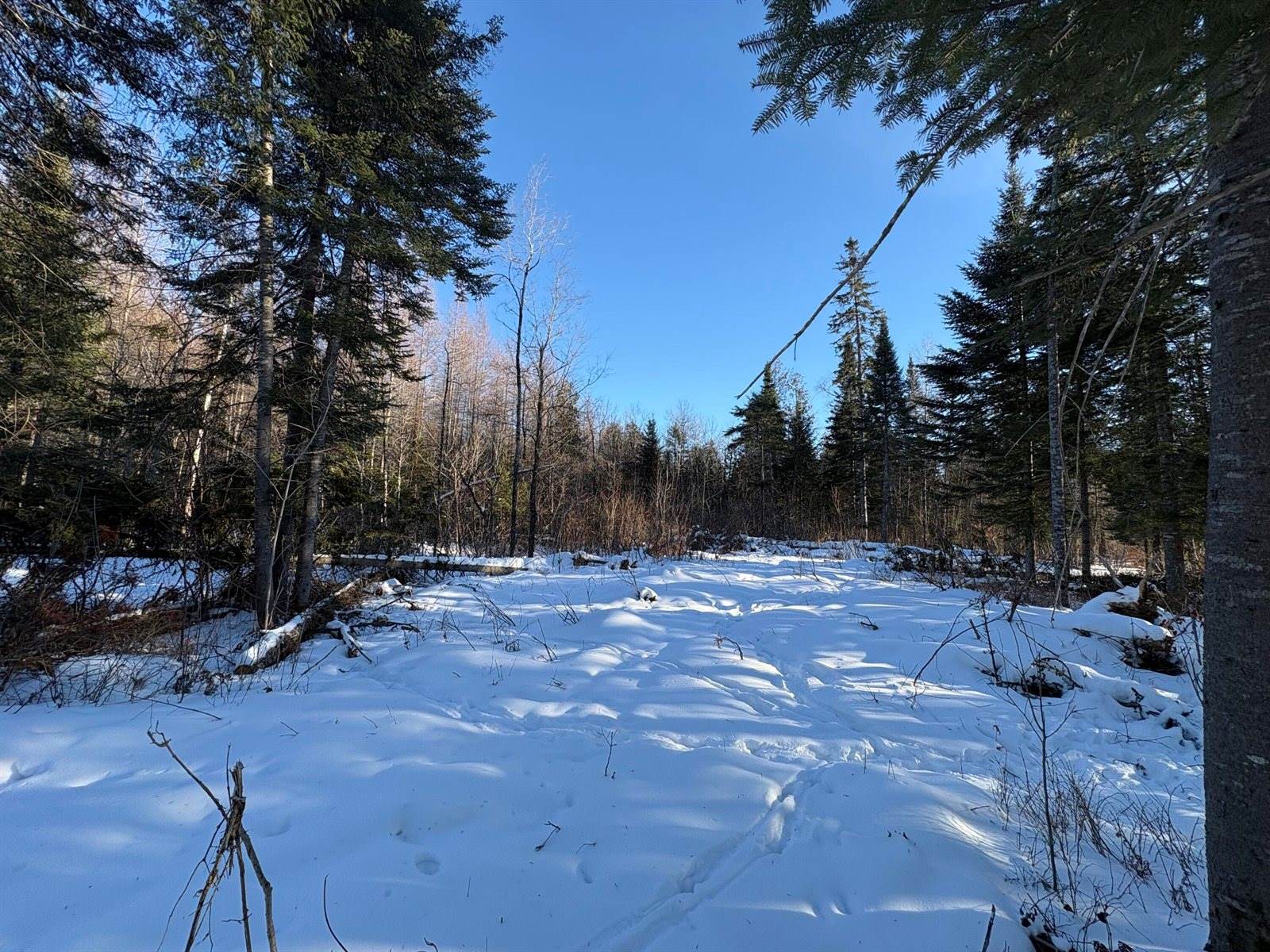 M10L4-1 Yard Road, Oakfield, ME 04763