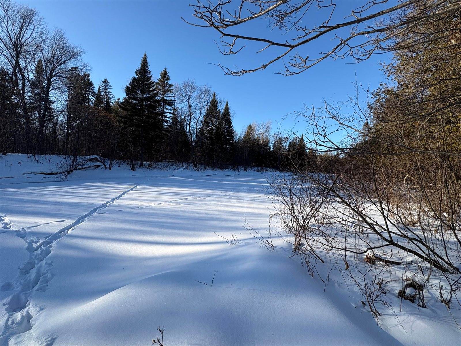 M10L4-1 Yard Road, Oakfield, ME 04763