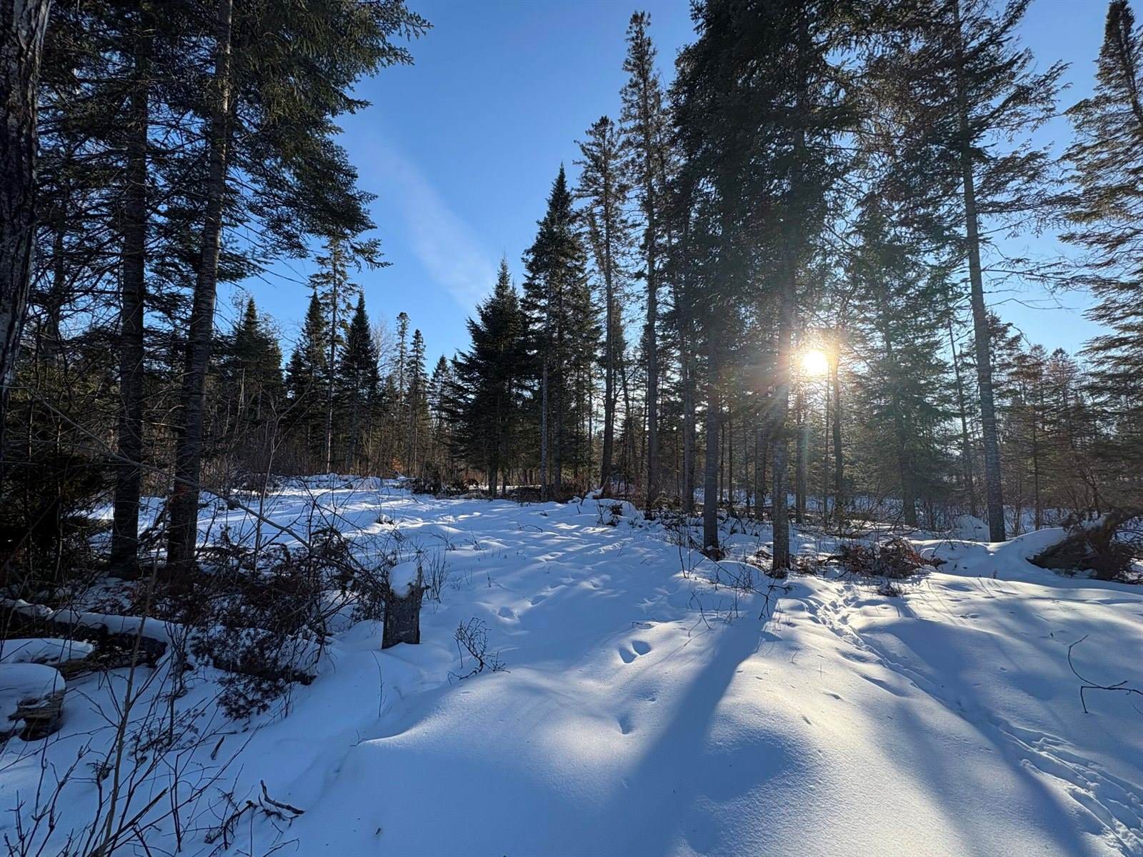 M10L4-1 Yard Road, Oakfield, ME 04763