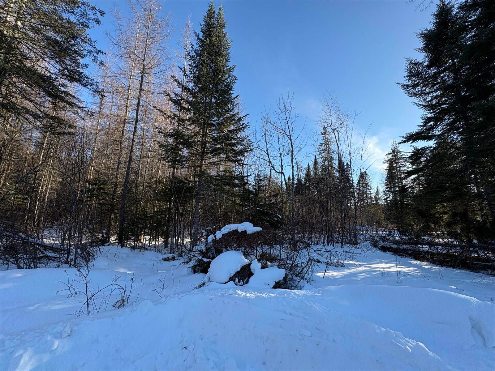 M10L4-1 Yard Road, Oakfield, ME 04763