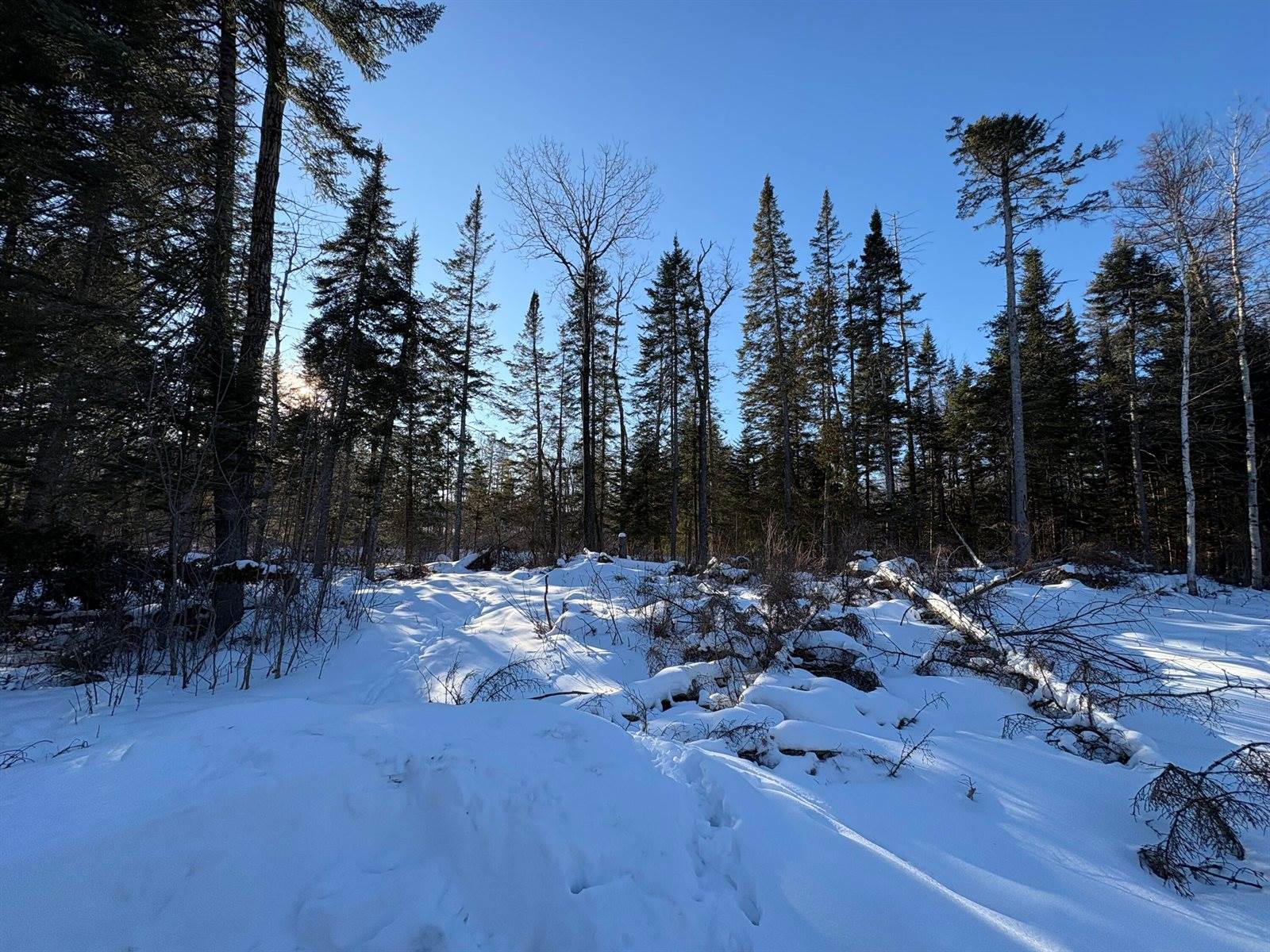 M10L4-1 Yard Road, Oakfield, ME 04763