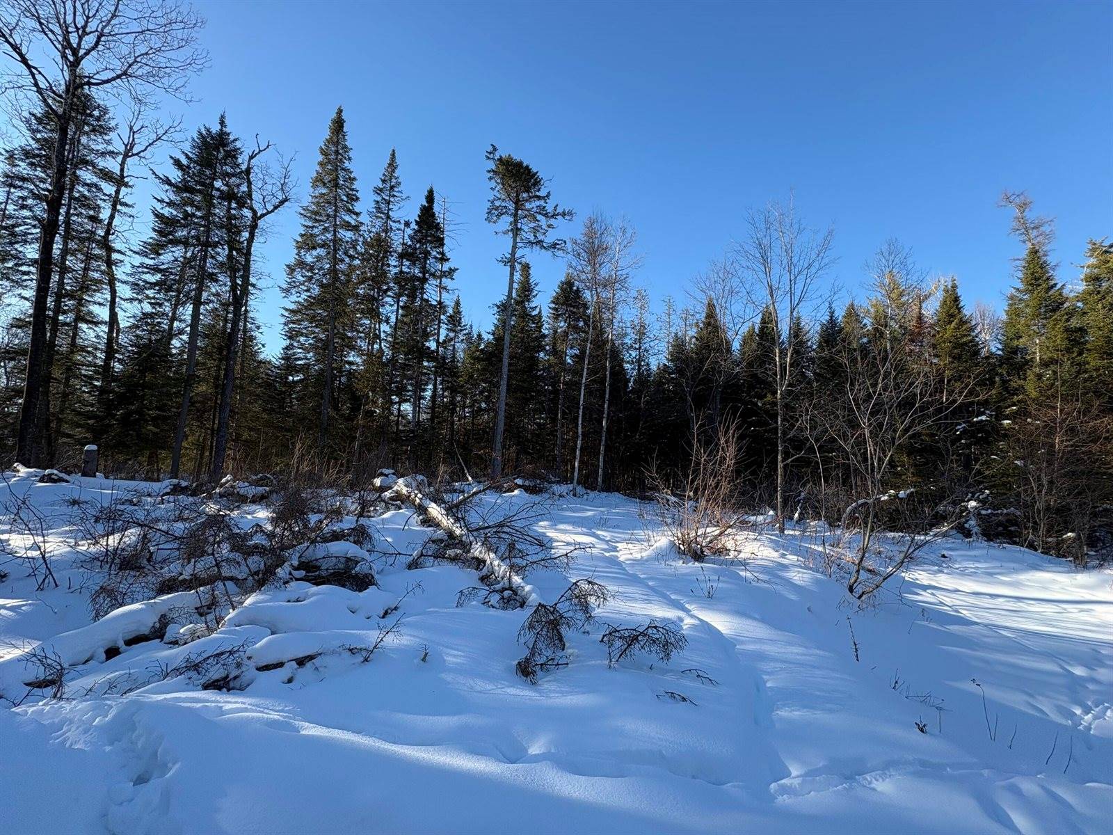 M10L4-1 Yard Road, Oakfield, ME 04763