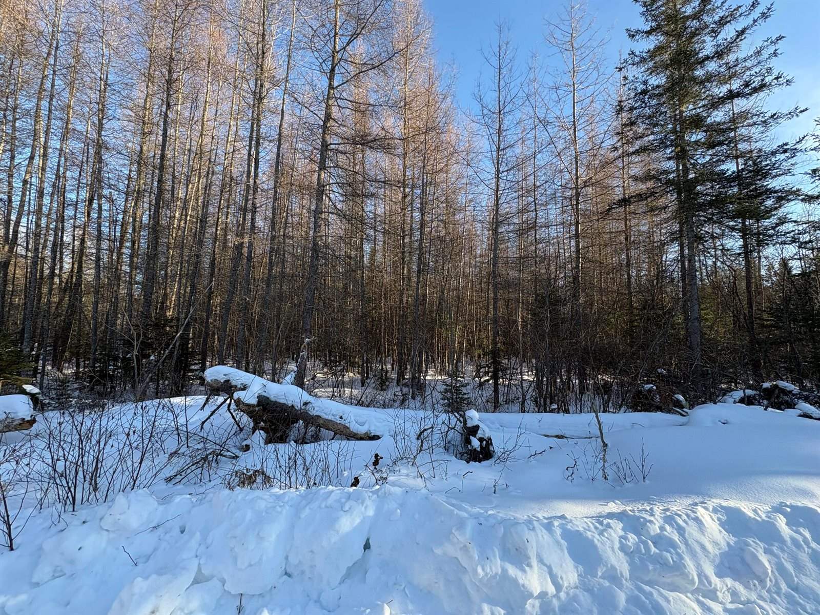 M10L4-1 Yard Road, Oakfield, ME 04763