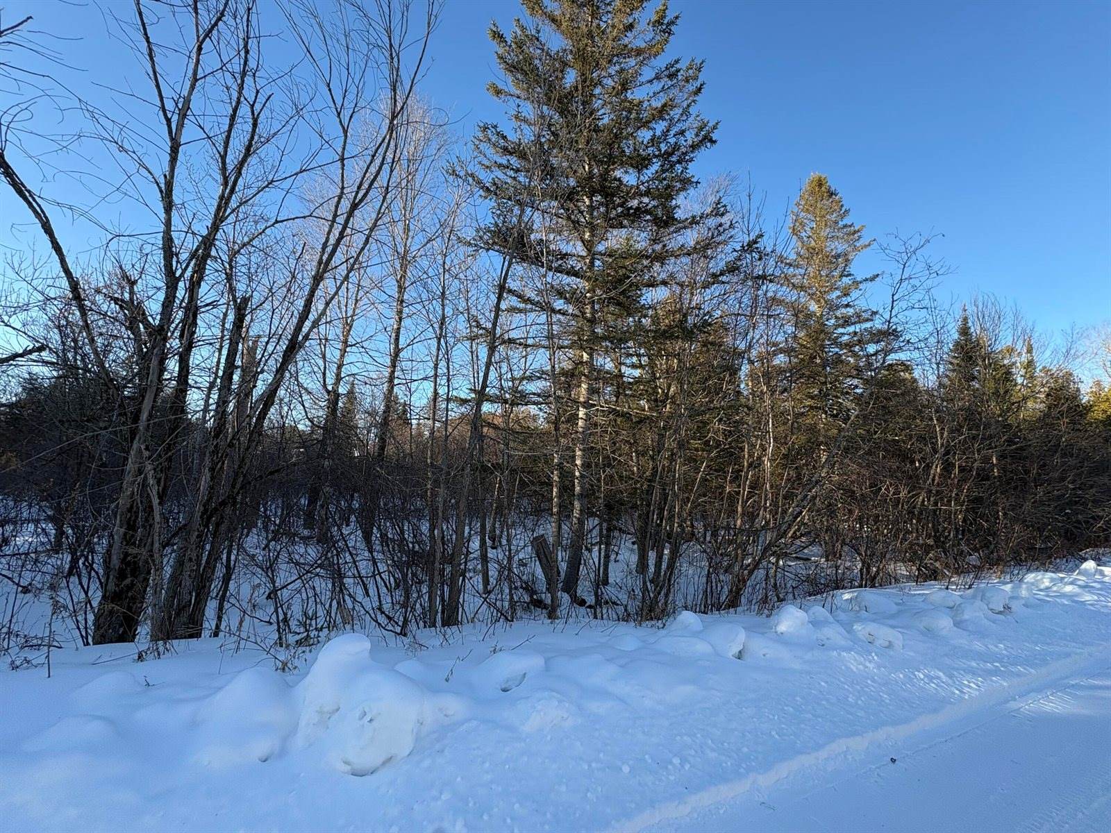 M10L4-1 Yard Road, Oakfield, ME 04763