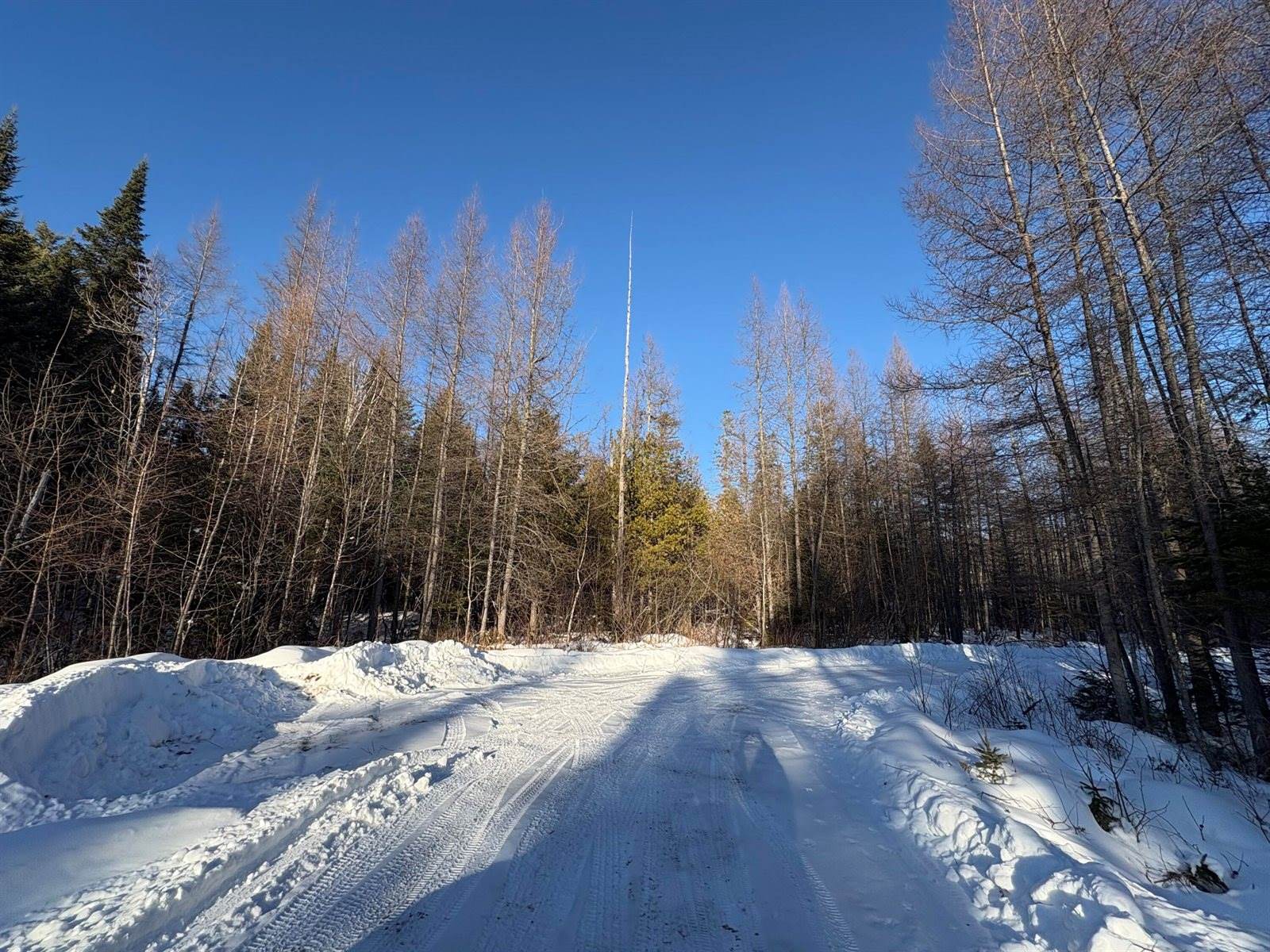 M10L4-1 Yard Road, Oakfield, ME 04763