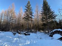 M10L4-1 Yard Road, Oakfield, ME 04763