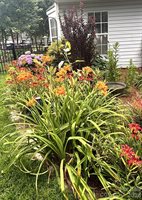 9800 Beaver Hollow Court, Charlotte, NC 28269