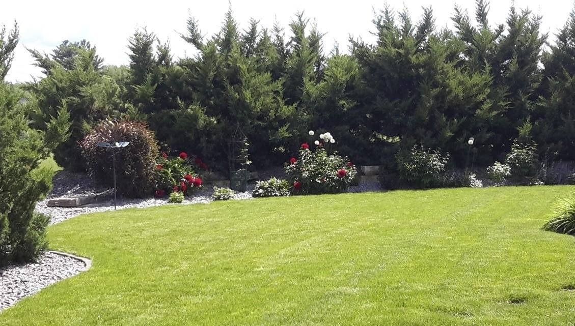 1540 E 20th Street, Marshfield, WI 54449