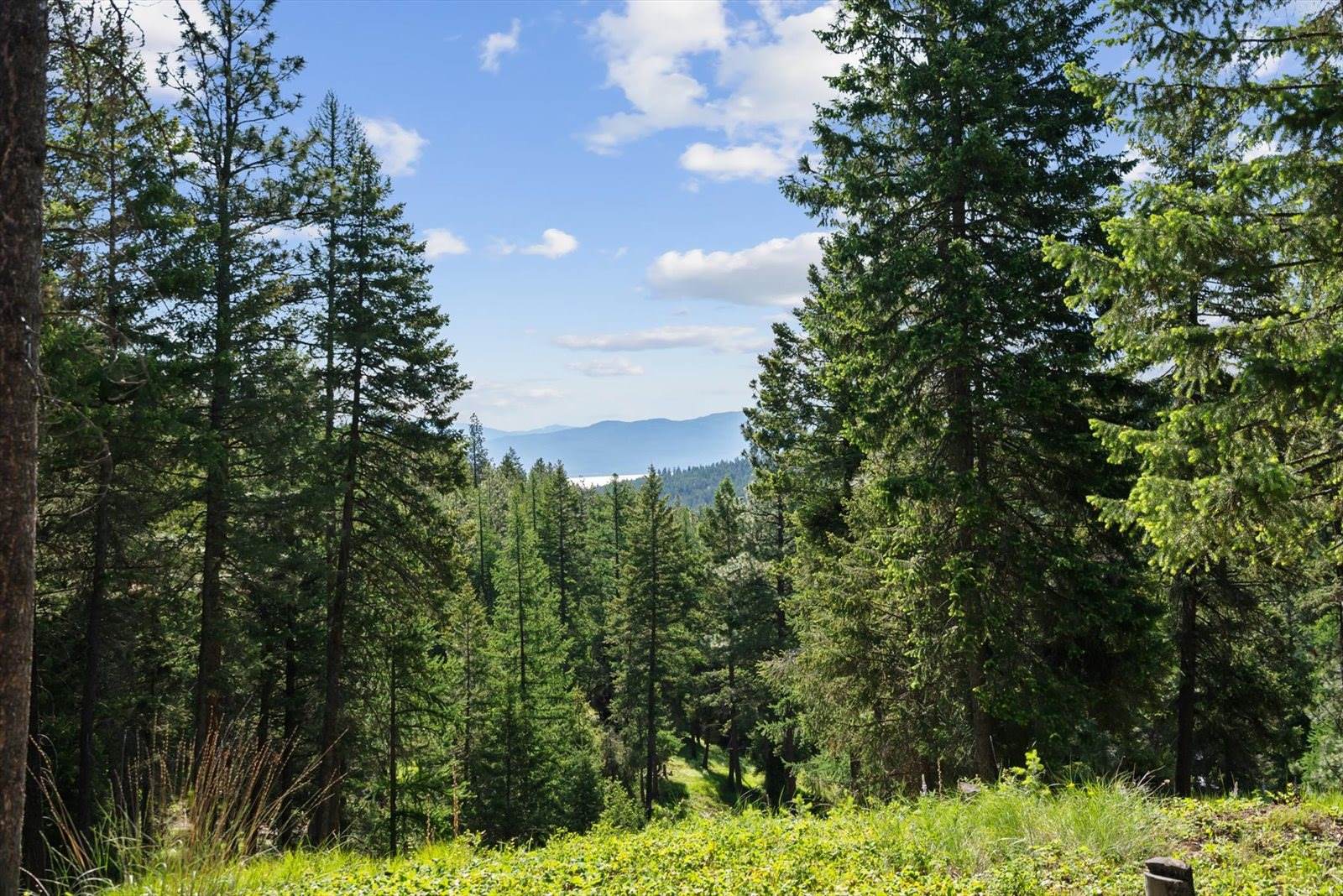 205 Muley Road, Lakeside, MT 59922