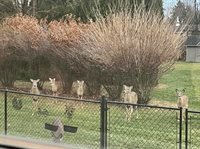 4909 W Prairiewood Drive, Muncie, IN 47304