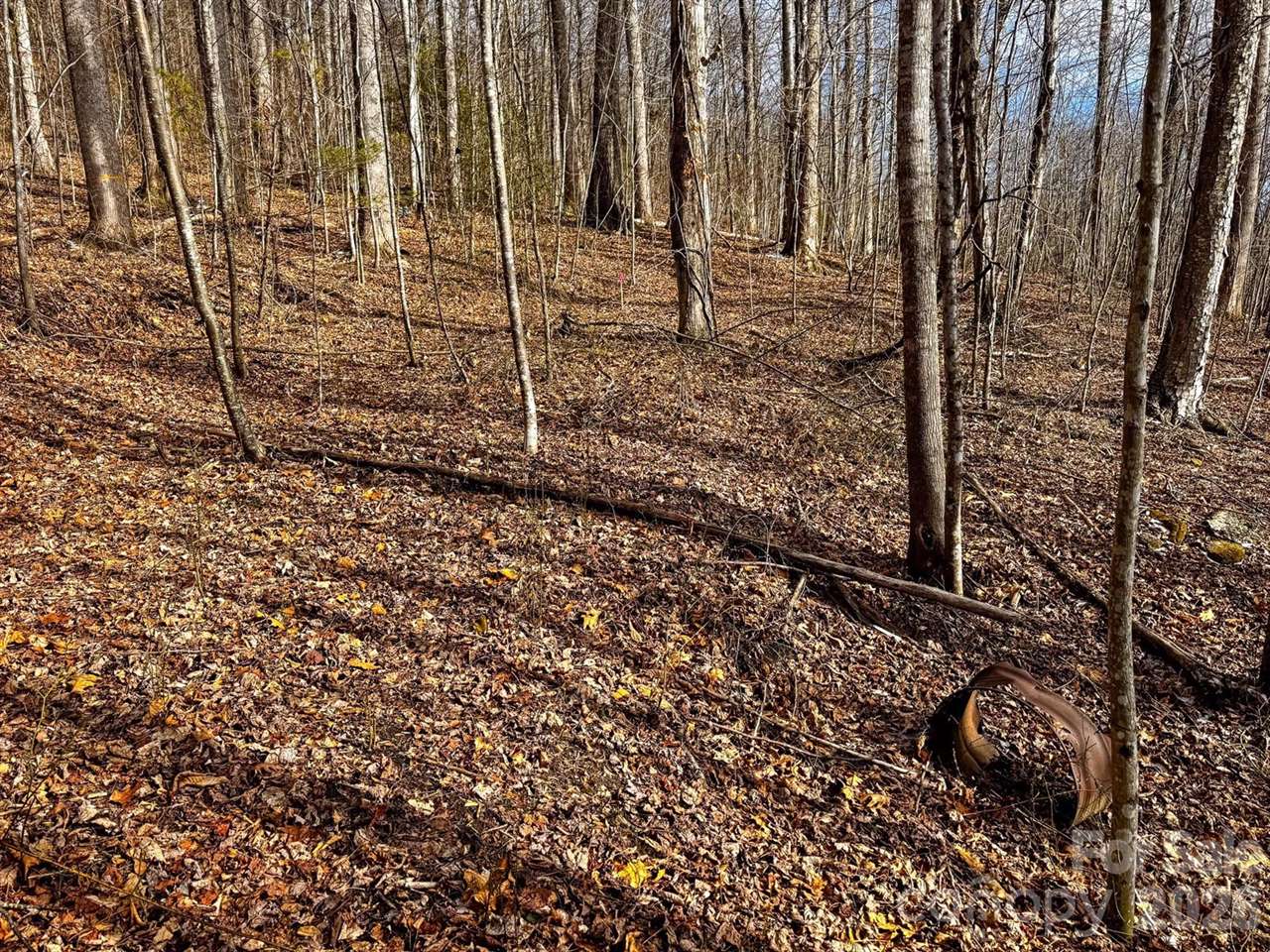 770 Somersby Parkway, Hendersonville, NC 28739