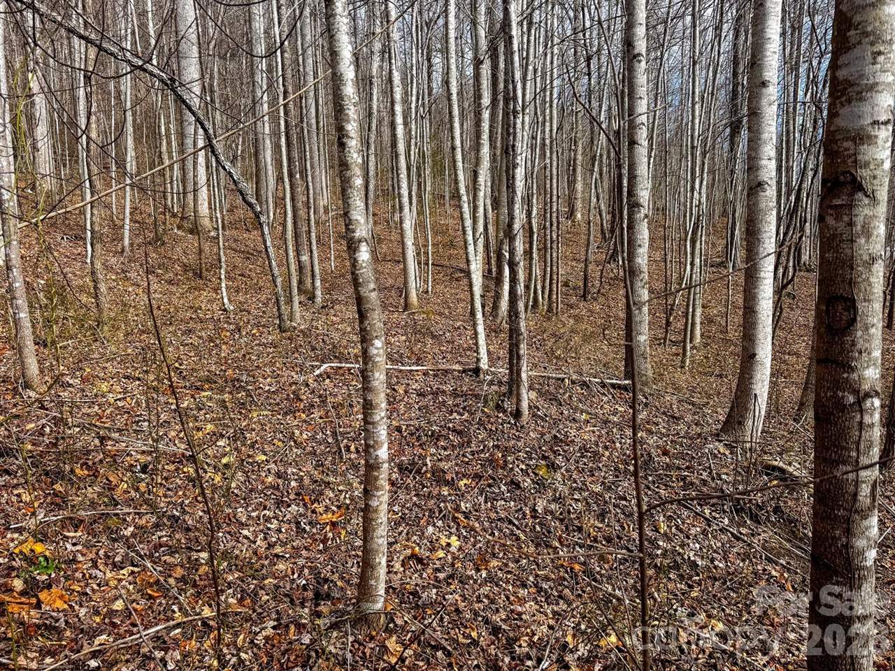 770 Somersby Parkway, Hendersonville, NC 28739