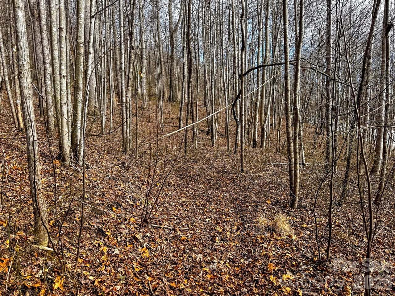 770 Somersby Parkway, Hendersonville, NC 28739