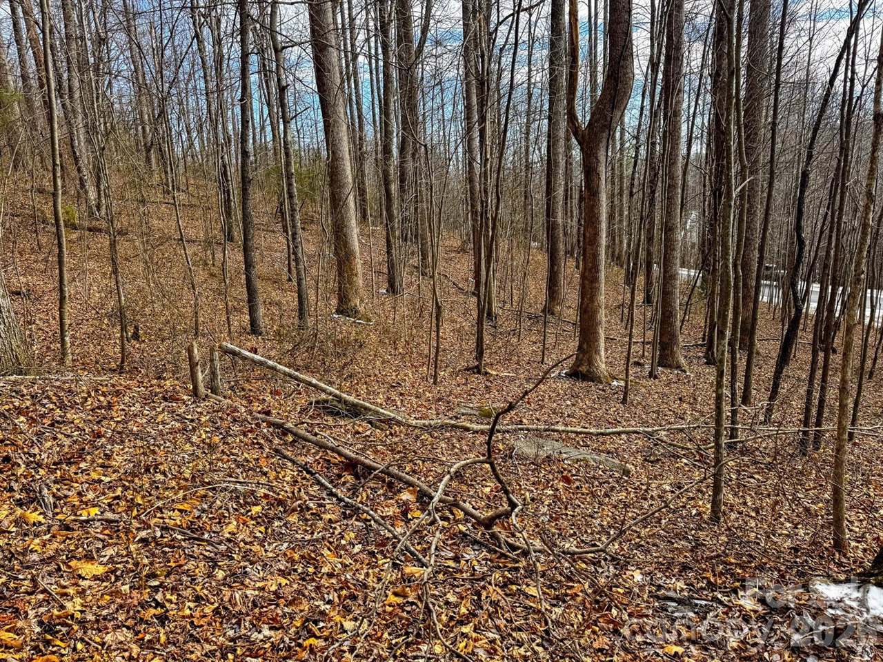 770 Somersby Parkway, Hendersonville, NC 28739