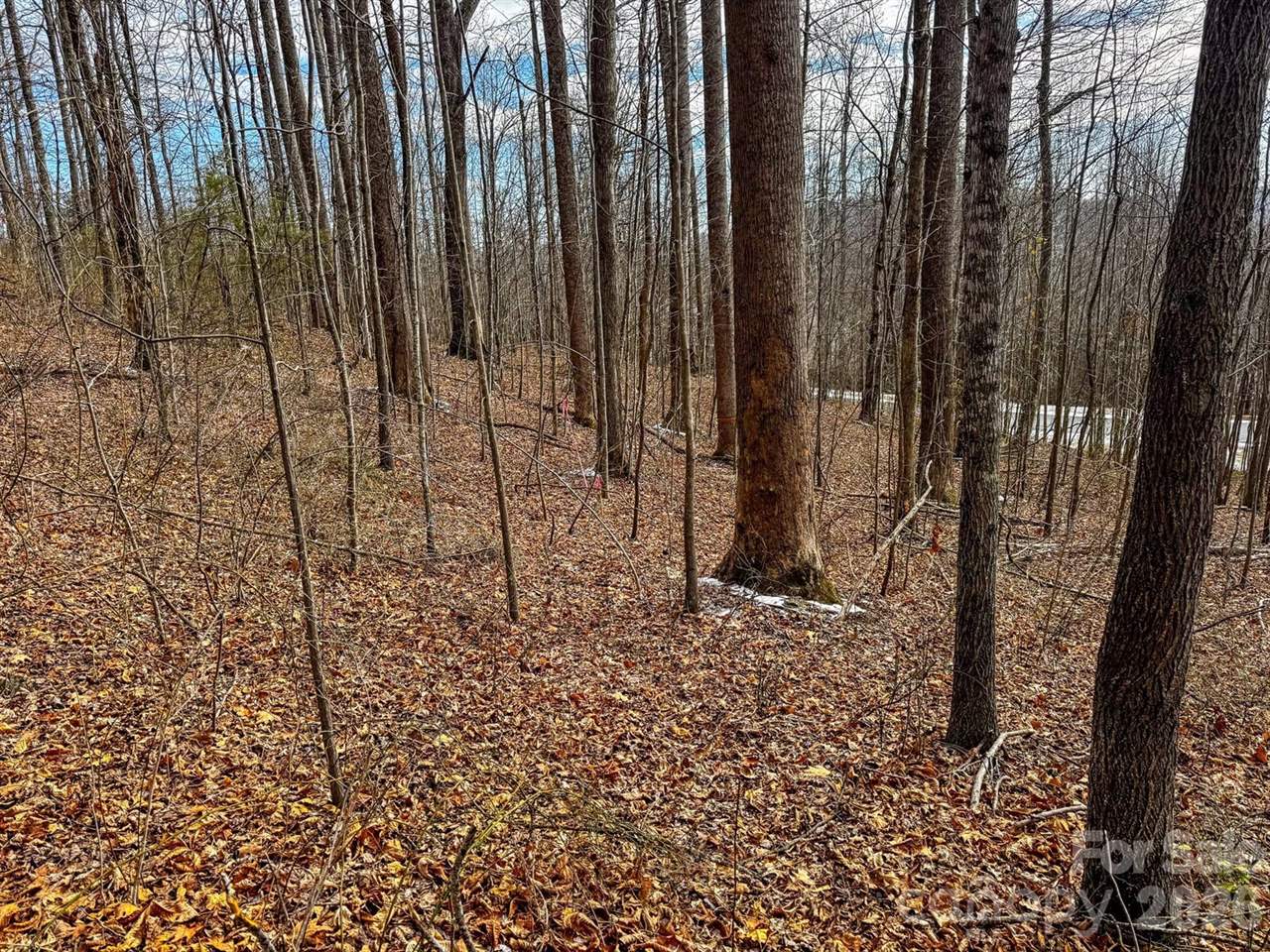 770 Somersby Parkway, Hendersonville, NC 28739