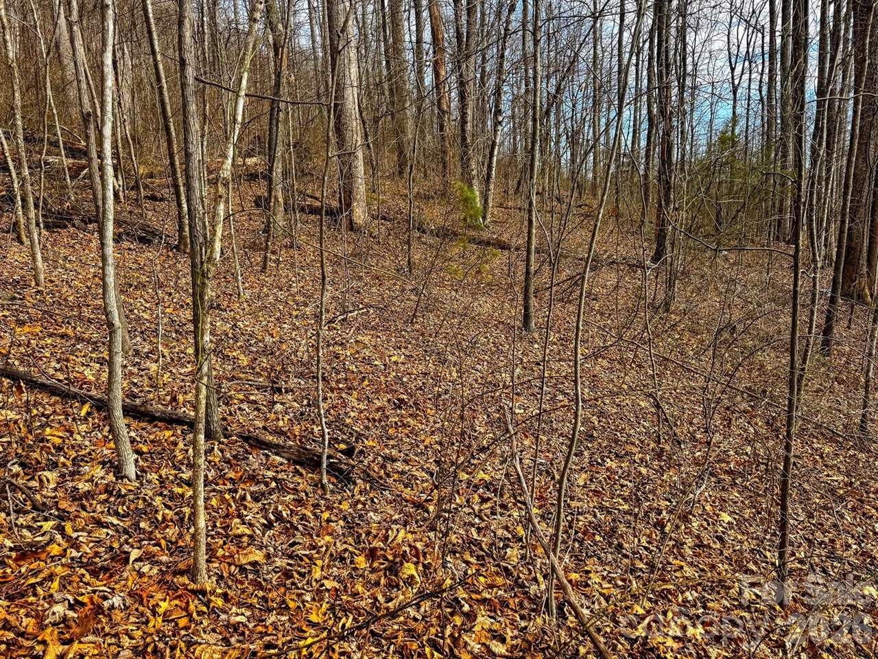 770 Somersby Parkway, Hendersonville, NC 28739