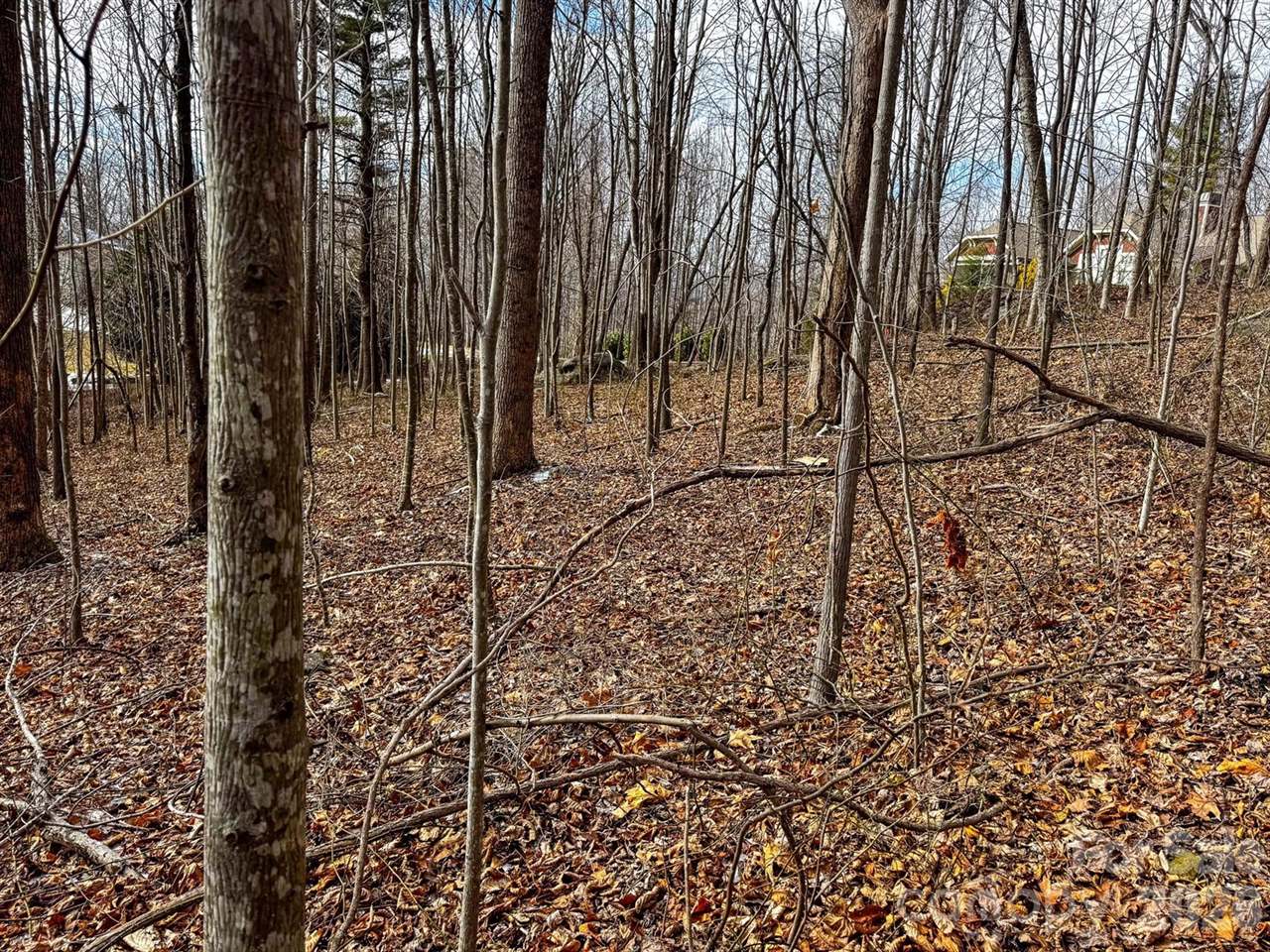 770 Somersby Parkway, Hendersonville, NC 28739