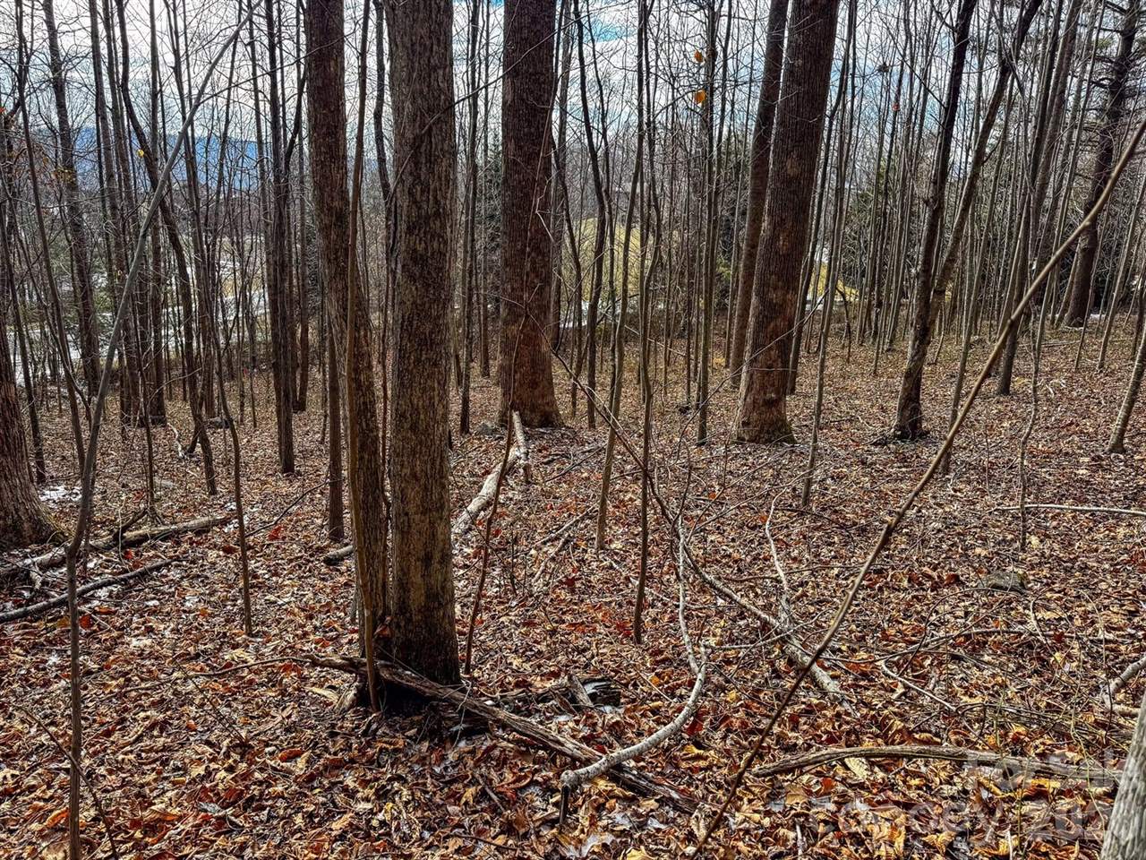 770 Somersby Parkway, Hendersonville, NC 28739