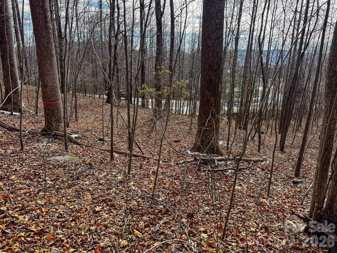 770 Somersby Parkway, Hendersonville, NC 28739