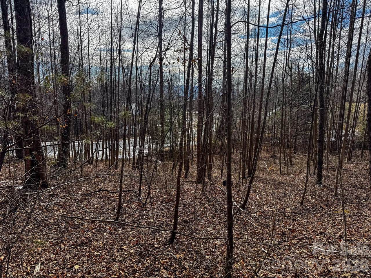 770 Somersby Parkway, Hendersonville, NC 28739