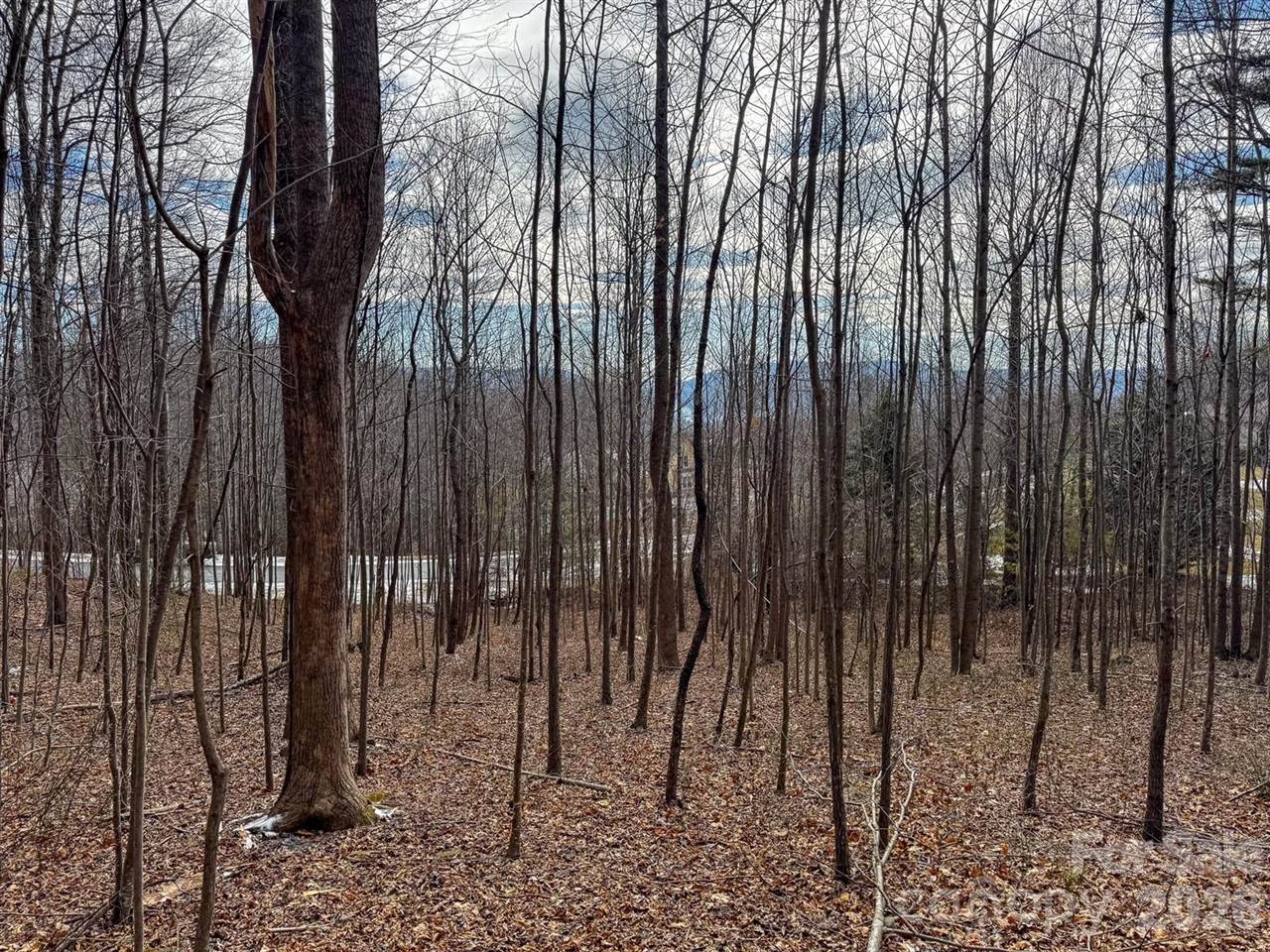 770 Somersby Parkway, Hendersonville, NC 28739