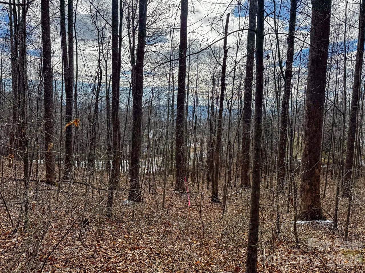 770 Somersby Parkway, Hendersonville, NC 28739