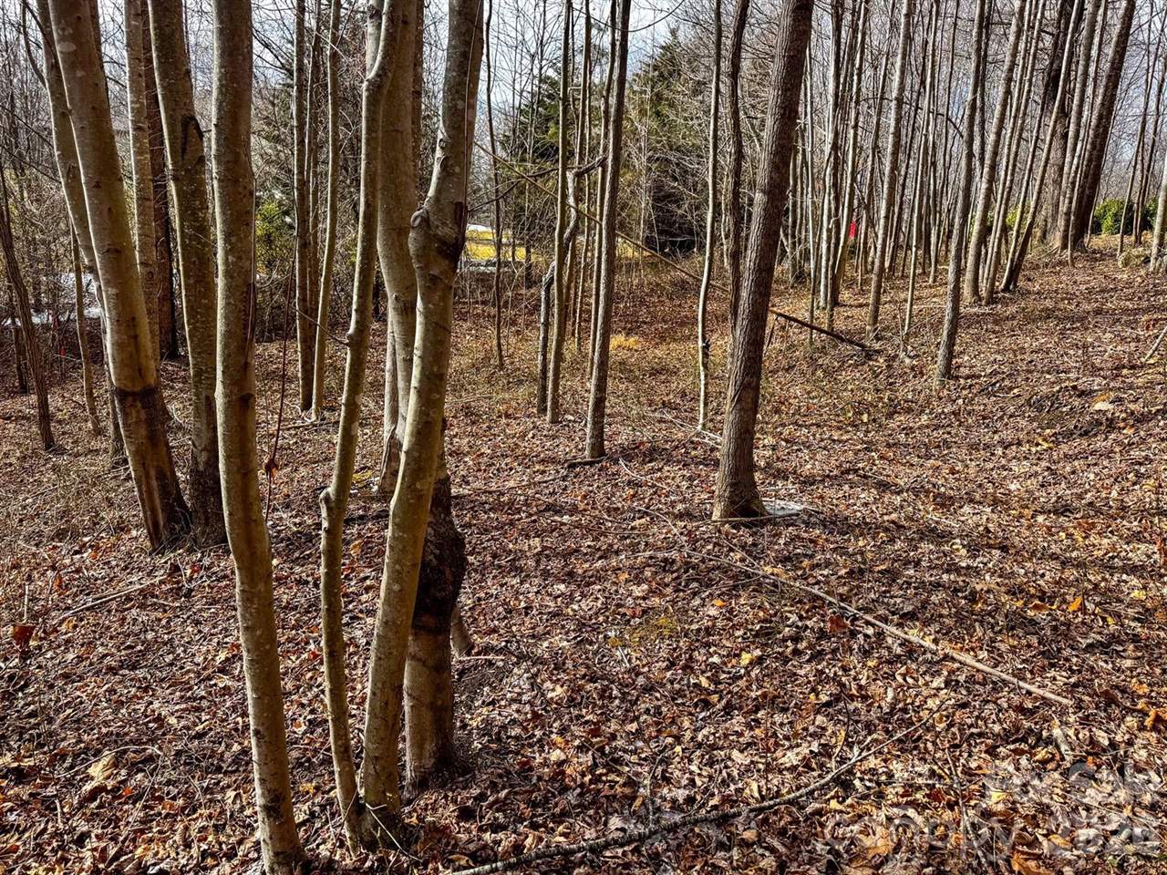 770 Somersby Parkway, Hendersonville, NC 28739