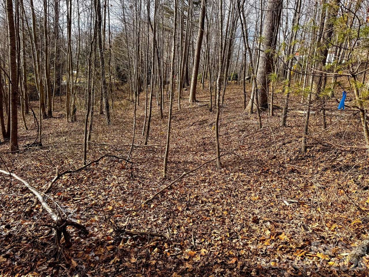 770 Somersby Parkway, Hendersonville, NC 28739