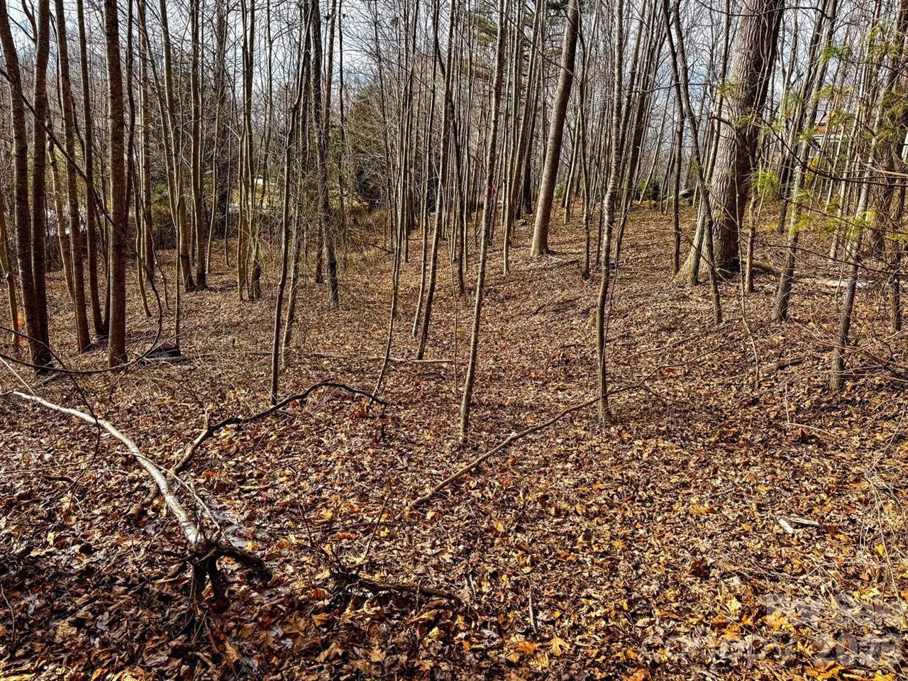 770 Somersby Parkway, Hendersonville, NC 28739