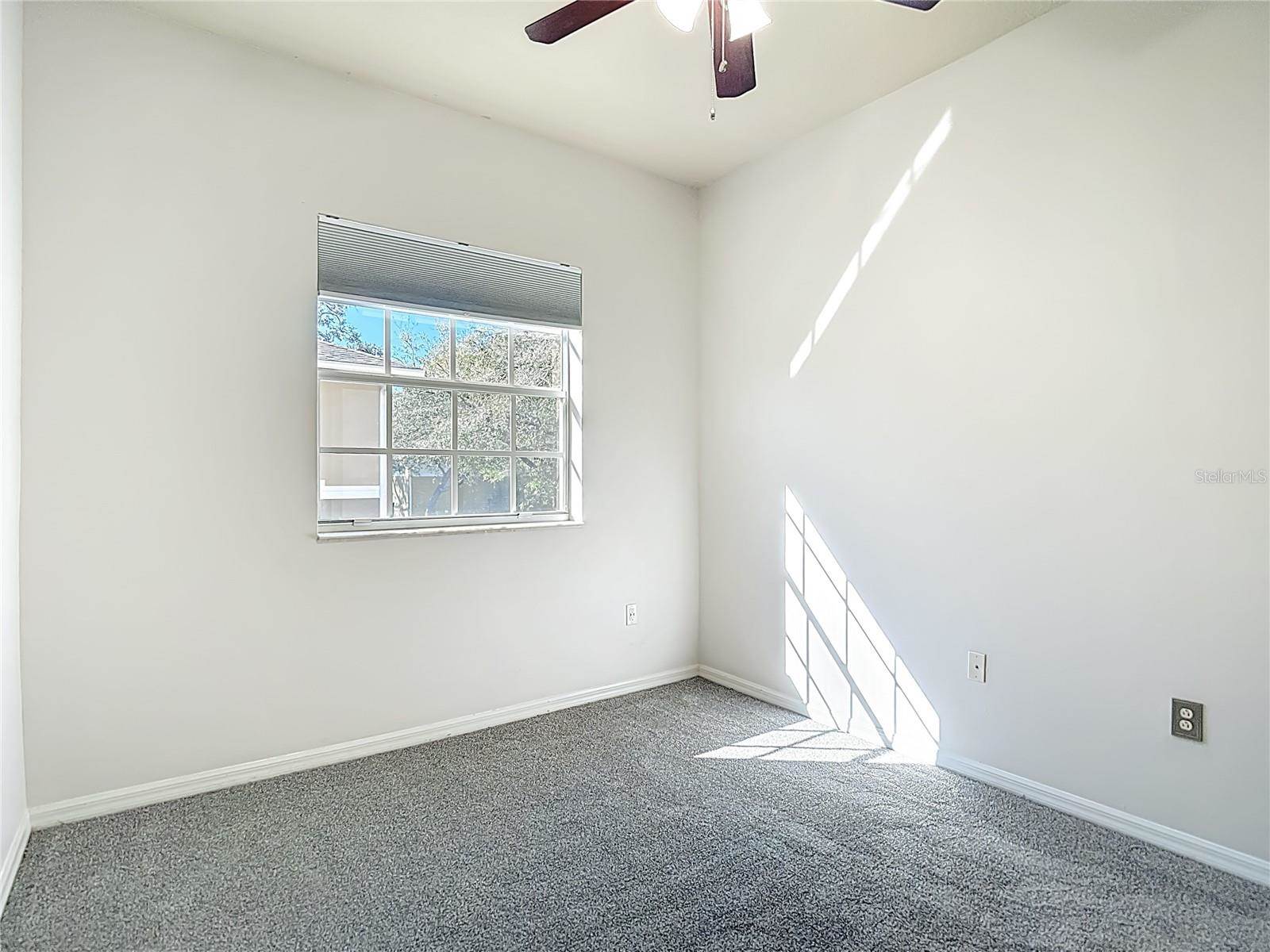7438 Gunn Highway, Tampa, FL 33625