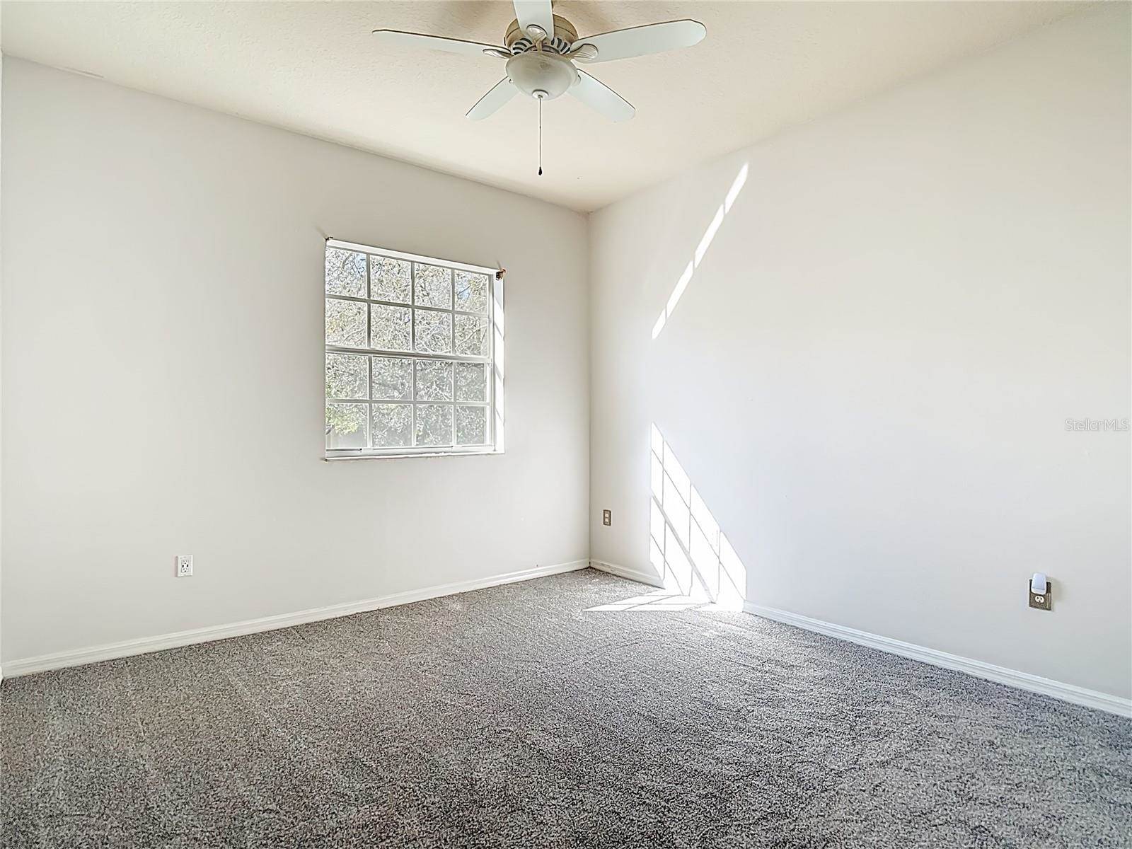 7438 Gunn Highway, Tampa, FL 33625