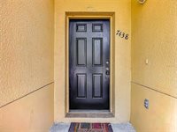 7438 Gunn Highway, Tampa, FL 33625