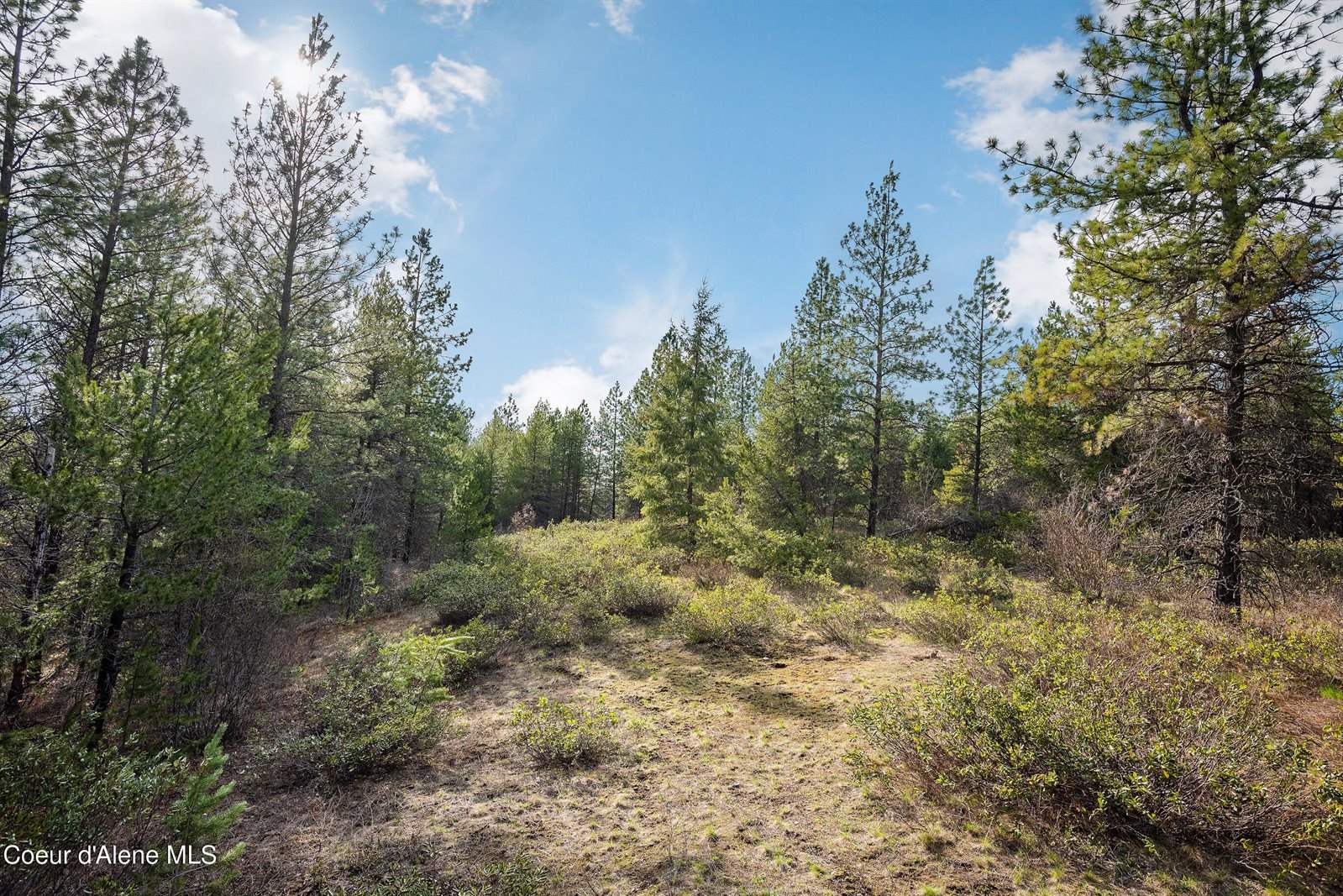 9067 West Coeur D Alene Dr, Spirit Lake, ID 83869