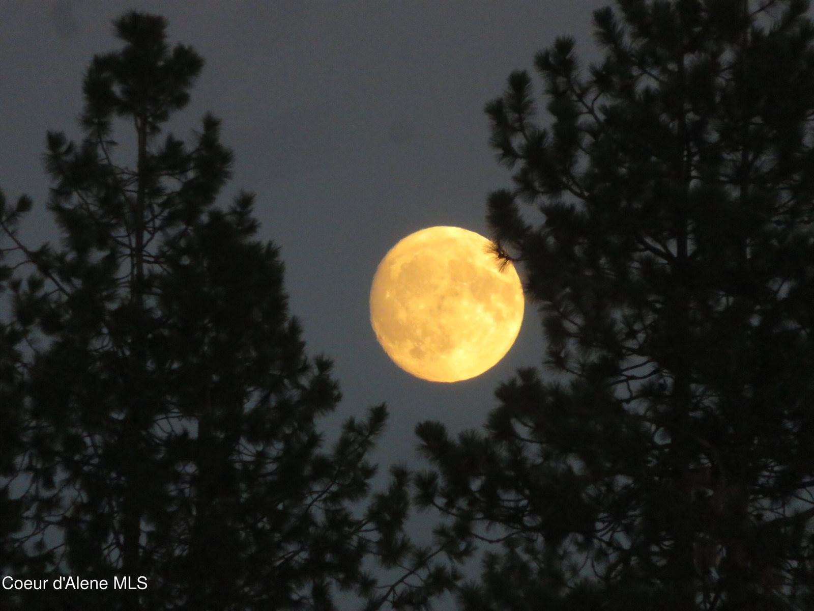 9067 West Coeur D Alene Dr, Spirit Lake, ID 83869