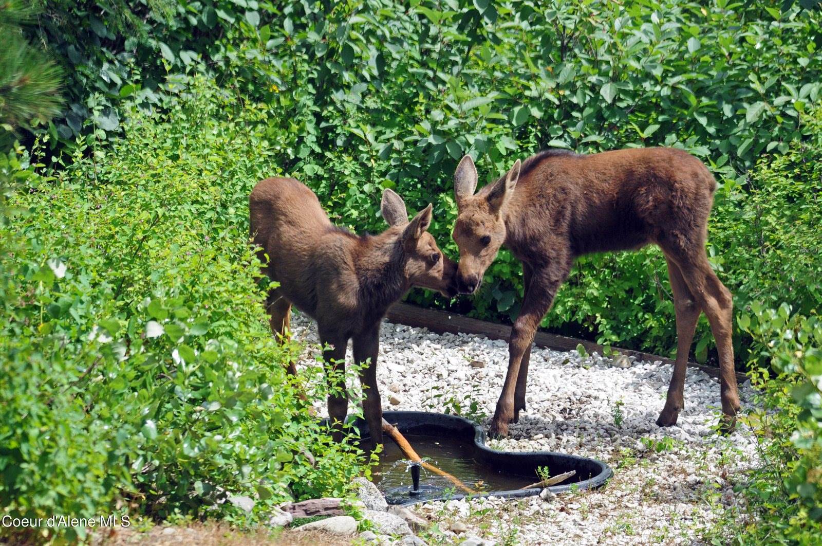 9067 West Coeur D Alene Dr, Spirit Lake, ID 83869