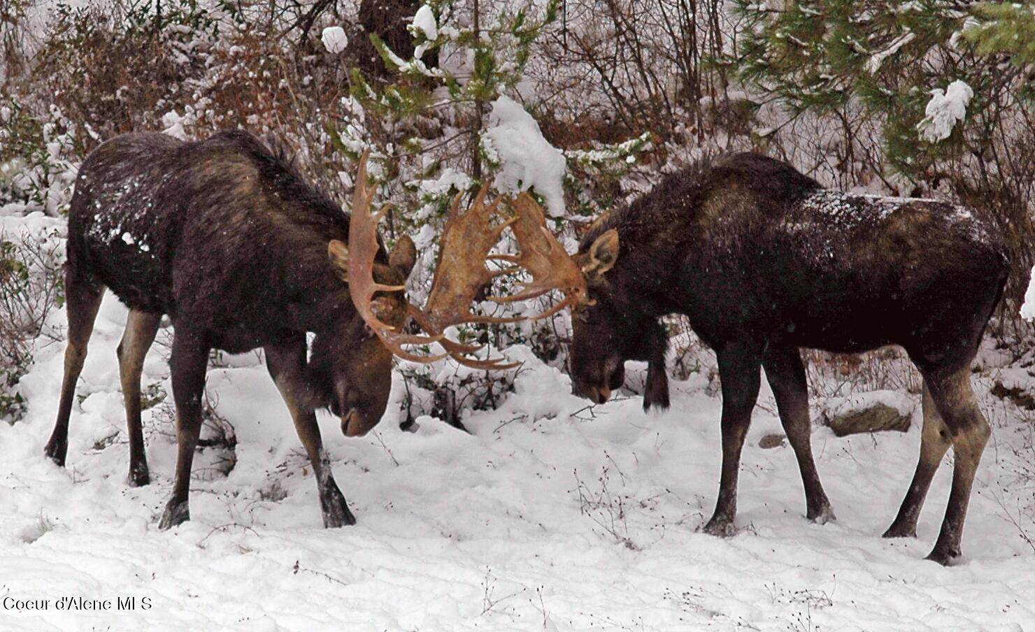 9067 West Coeur D Alene Dr, Spirit Lake, ID 83869