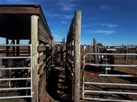 7631 Wauchula Road, Myakka City, FL 34251