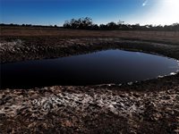 7631 Wauchula Road, Myakka City, FL 34251