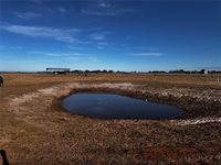 7631 Wauchula Road, Myakka City, FL 34251