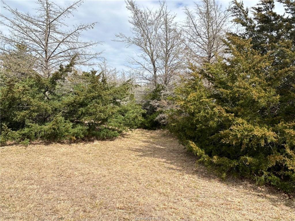 TBD Deer Run County Road, College Station, TX 77845