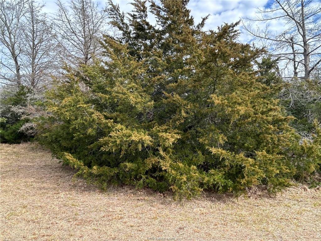 TBD Deer Run County Road, College Station, TX 77845