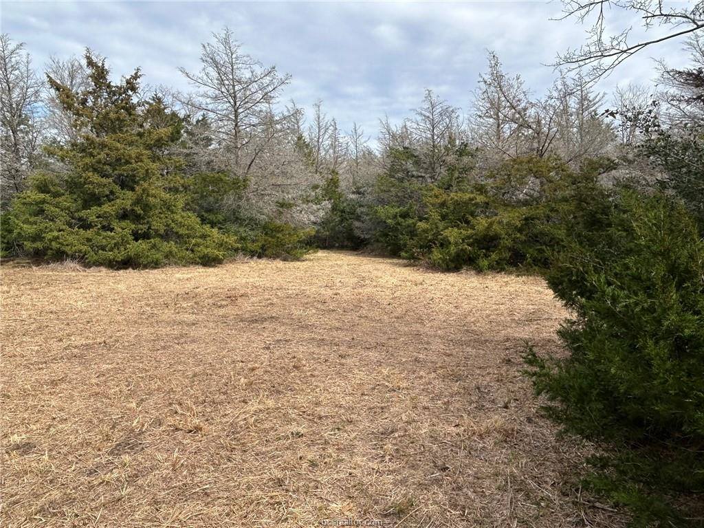 TBD Deer Run County Road, College Station, TX 77845